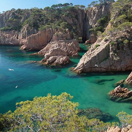 Nuevo Luminoso Apartamento Catalina A 80 Metros De La Playa Para 4 Personas Sant Feliu de Guíxols Esterno foto