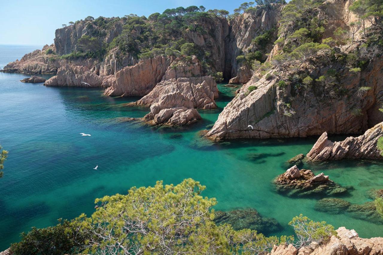 Nuevo Luminoso Apartamento Catalina A 80 Metros De La Playa Para 4 Personas Sant Feliu de Guíxols Esterno foto