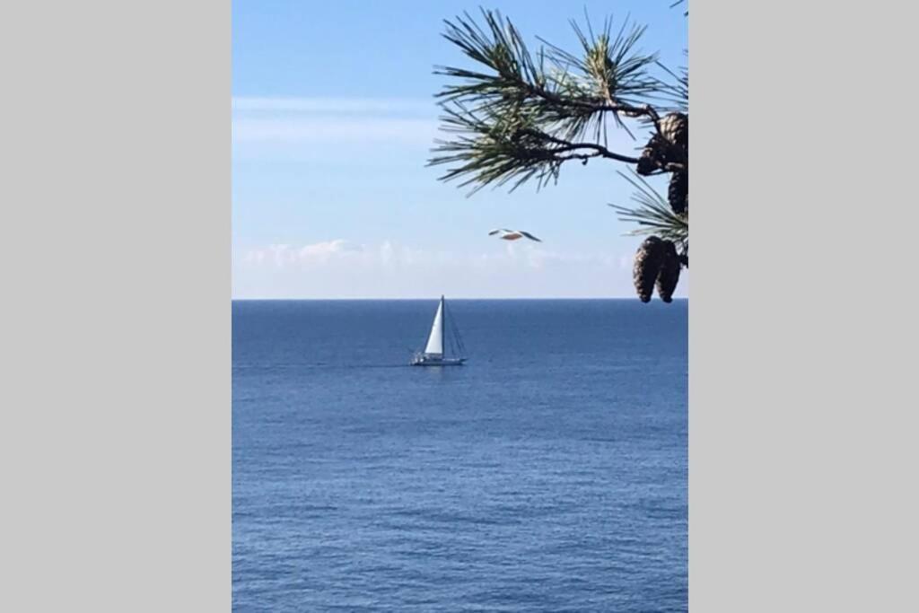 Nuevo Luminoso Apartamento Catalina A 80 Metros De La Playa Para 4 Personas Sant Feliu de Guíxols Esterno foto