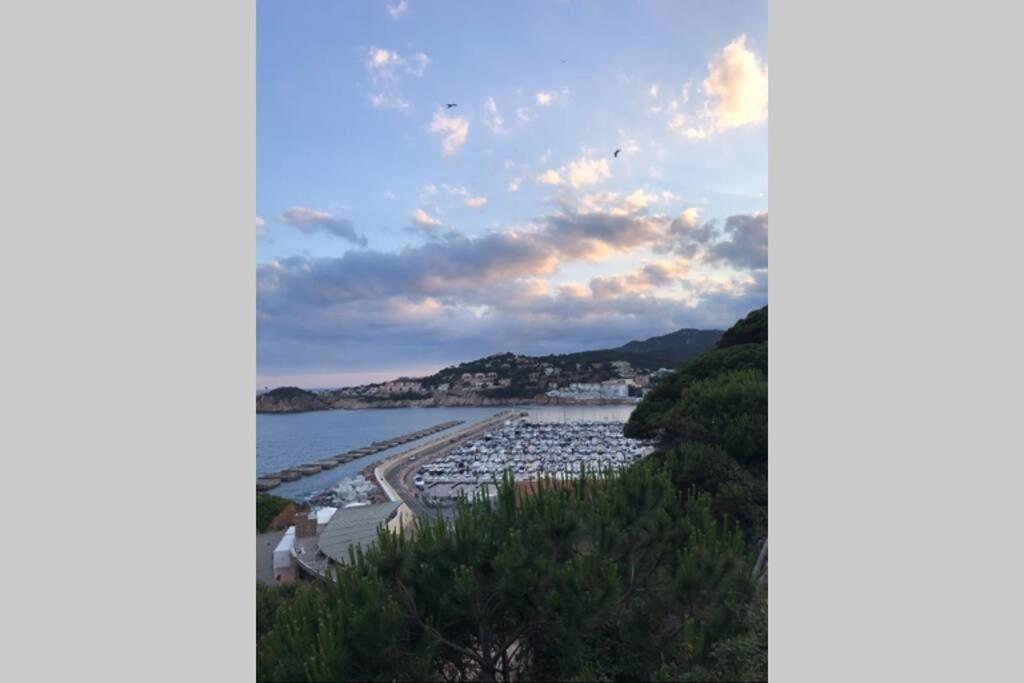Nuevo Luminoso Apartamento Catalina A 80 Metros De La Playa Para 4 Personas Sant Feliu de Guíxols Esterno foto