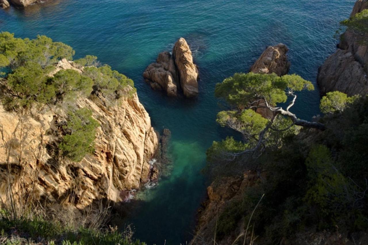 Nuevo Luminoso Apartamento Catalina A 80 Metros De La Playa Para 4 Personas Sant Feliu de Guíxols Esterno foto